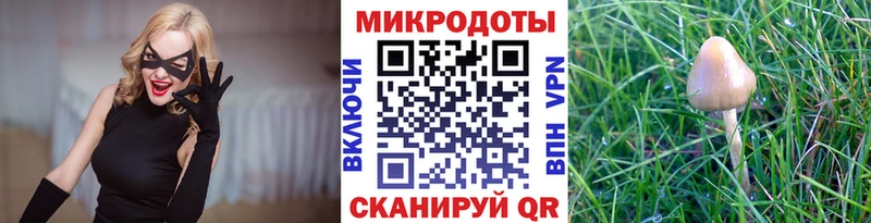 даркнет сайт  Солигалич  Галлюциногенные грибы Magic Shrooms 
